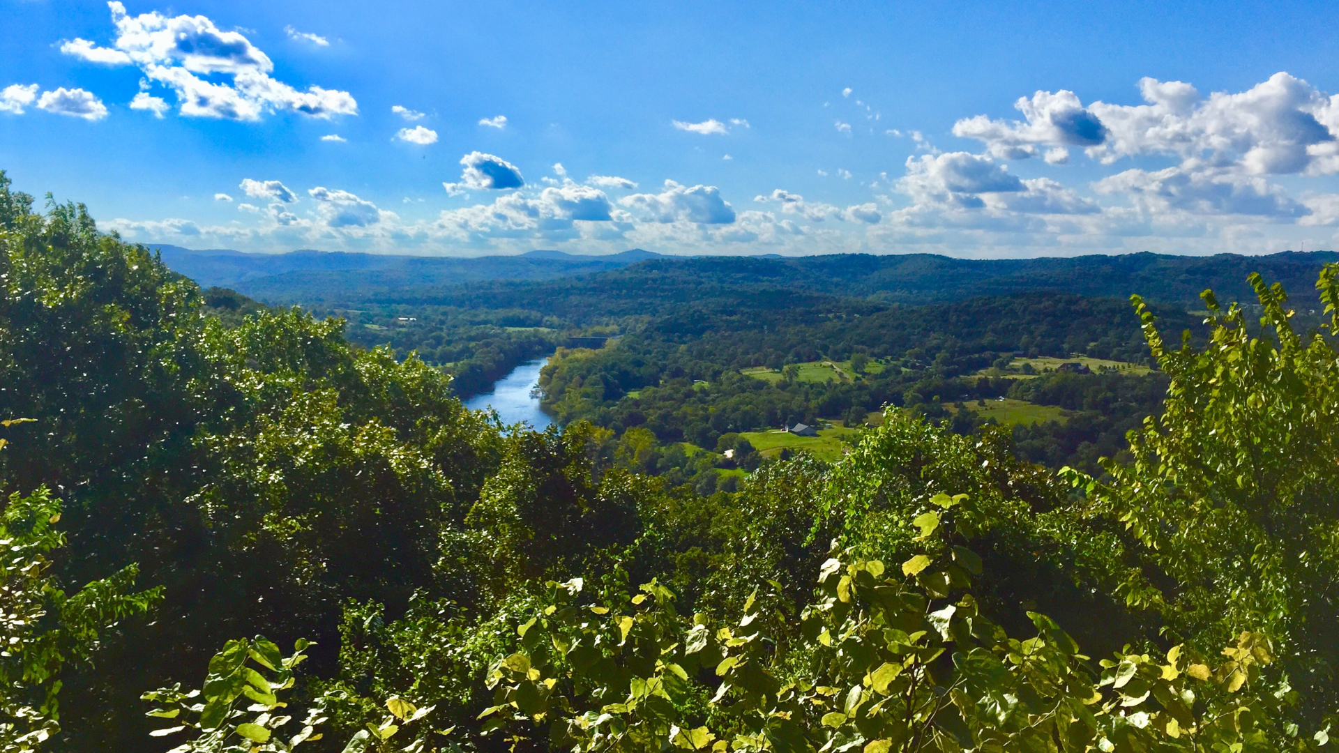 Arkansas landscape