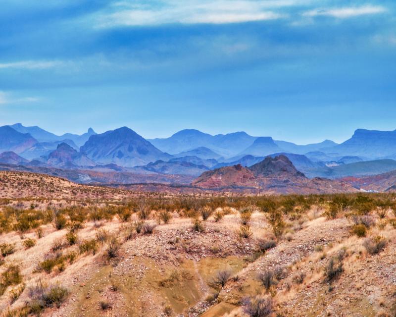 Texas landscape