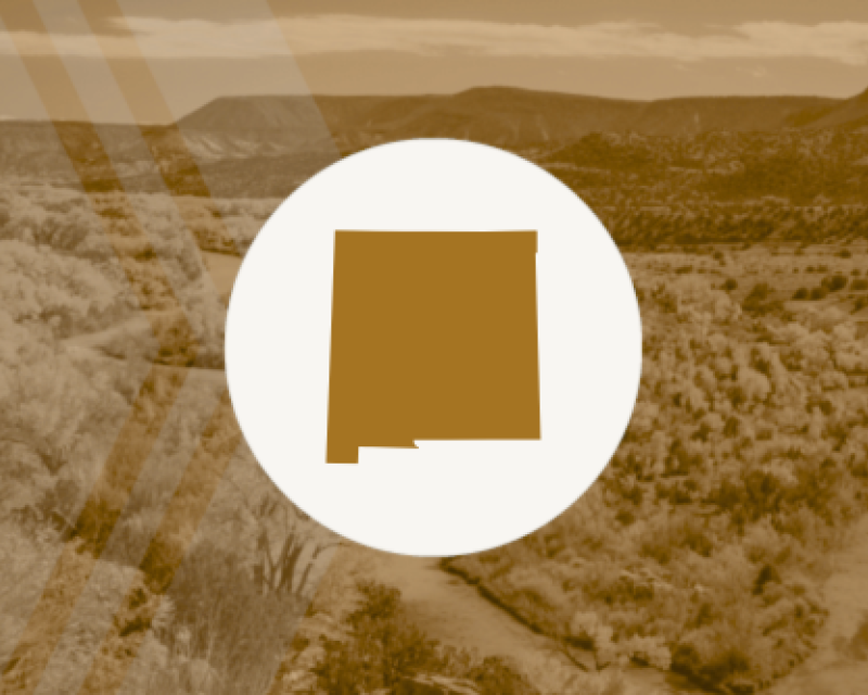 New Mexico
