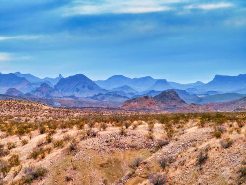 Texas landscape